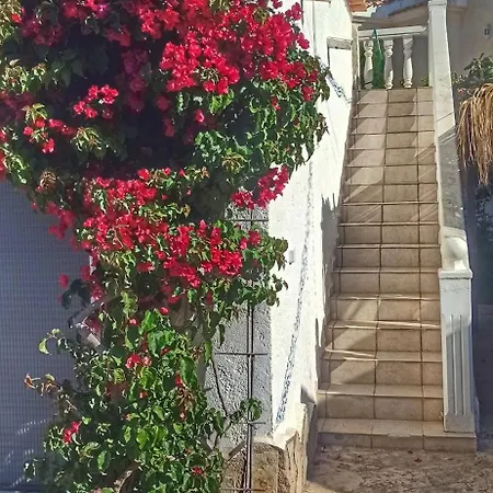 Appartement La Musica Calp